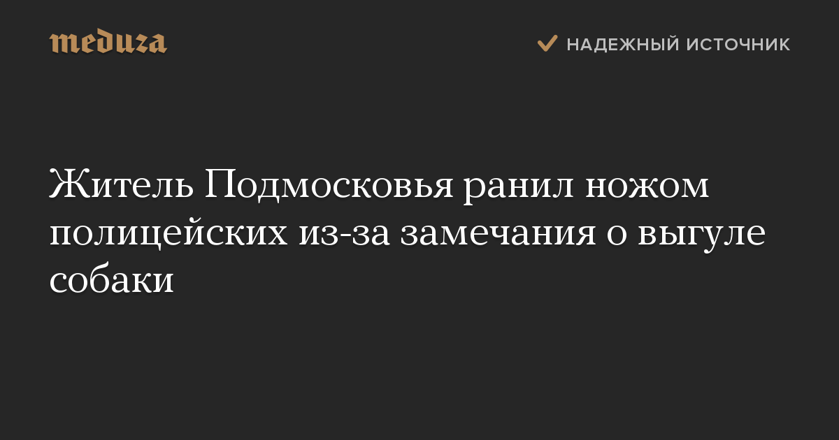 Житель Подмосковья ранил ножом полицейских из-за замечания о выгуле собаки