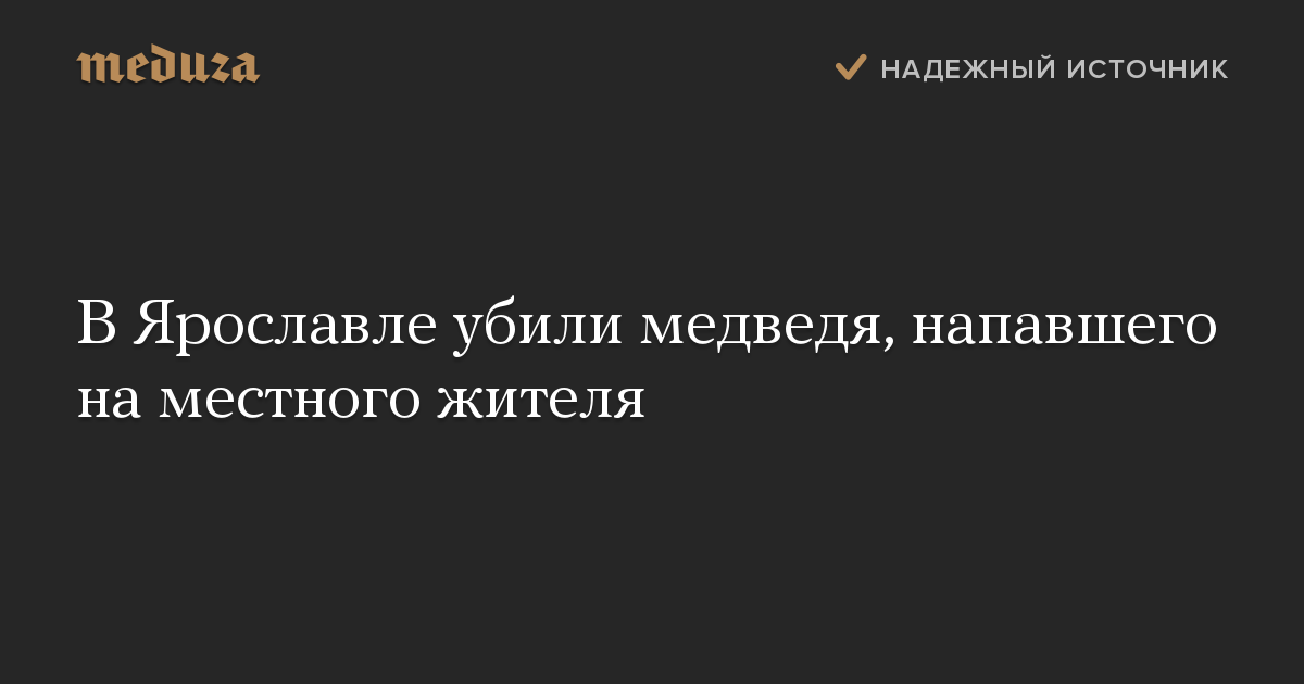 В Ярославле убили медведя, напавшего на местного жителя