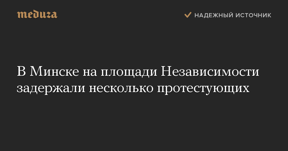 В Минске на площади Независимости задержали несколько протестующих