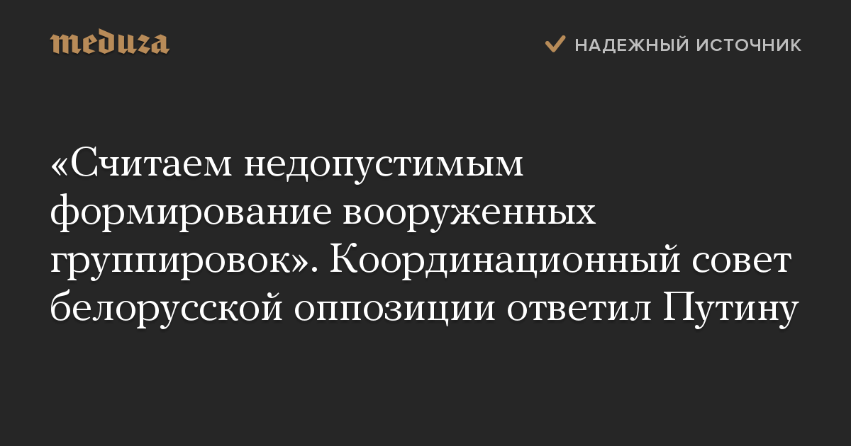 «Считаем недопустимым формирование вооруженных группировок». Координационный совет белорусской оппозиции ответил Путину