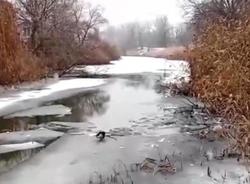 Прохожий спас провалившегося под лед мальчика