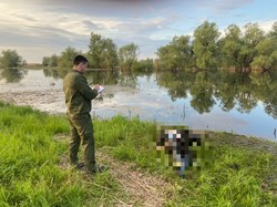 В реке нашли тело пропавшего почти месяц назад мужчины