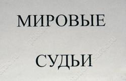 Коммунист предложил оптимизировать мировых судей в области