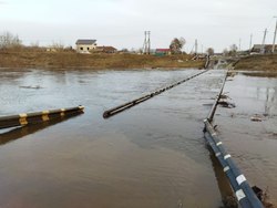 Паводок. Медведица перелила мост в Аткарске