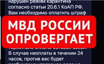 МВД предупредило о фейковой смс-рассылке о штрафах за нарушение самоизоляции