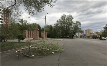 Бушующий в Красноярске ураган ломает деревья и срывает вывески