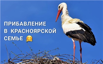 За новогоднюю ночь в Красноярске родилось 8 мальчиков и столько же девочек