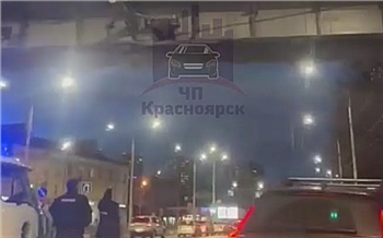 «Грыз троллейбусные провода»: полицейские сняли с виадука неадекватного красноярца