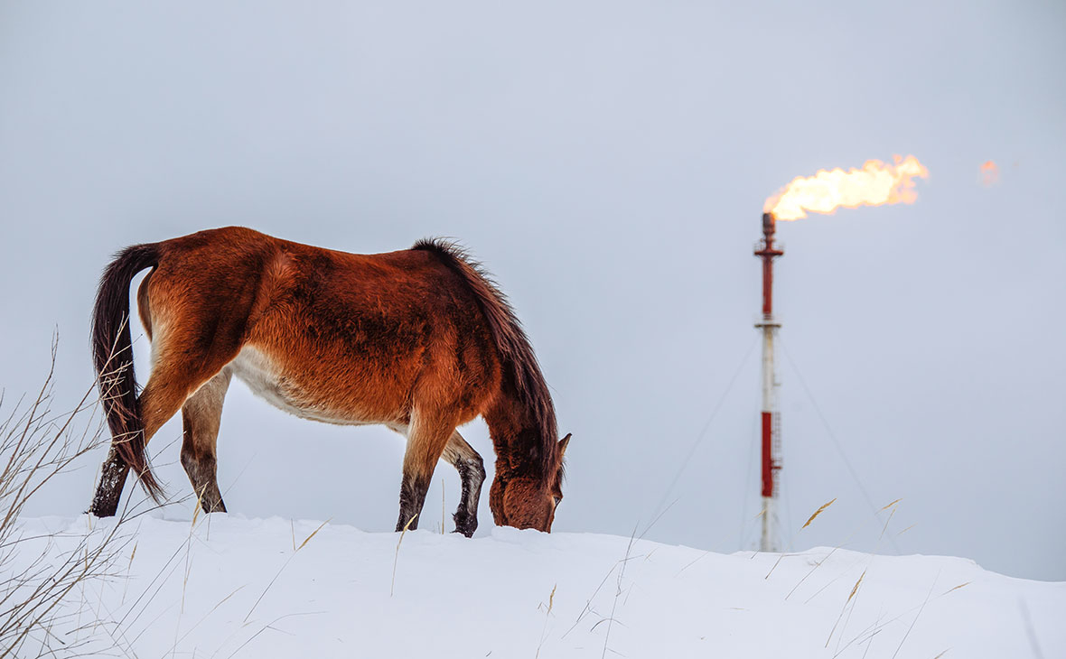 Минэнерго назвало сроки восстановления цен на нефть