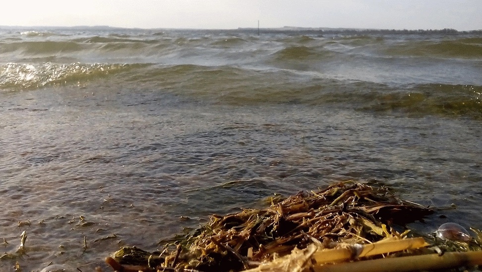 В Курской области временно ограничена рыбалка на Курчатовском водохранилище