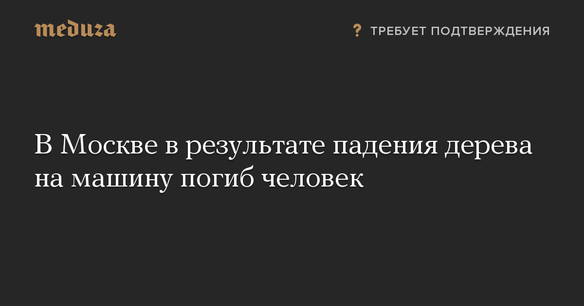 В Москве в результате падения дерева на машину погиб человек