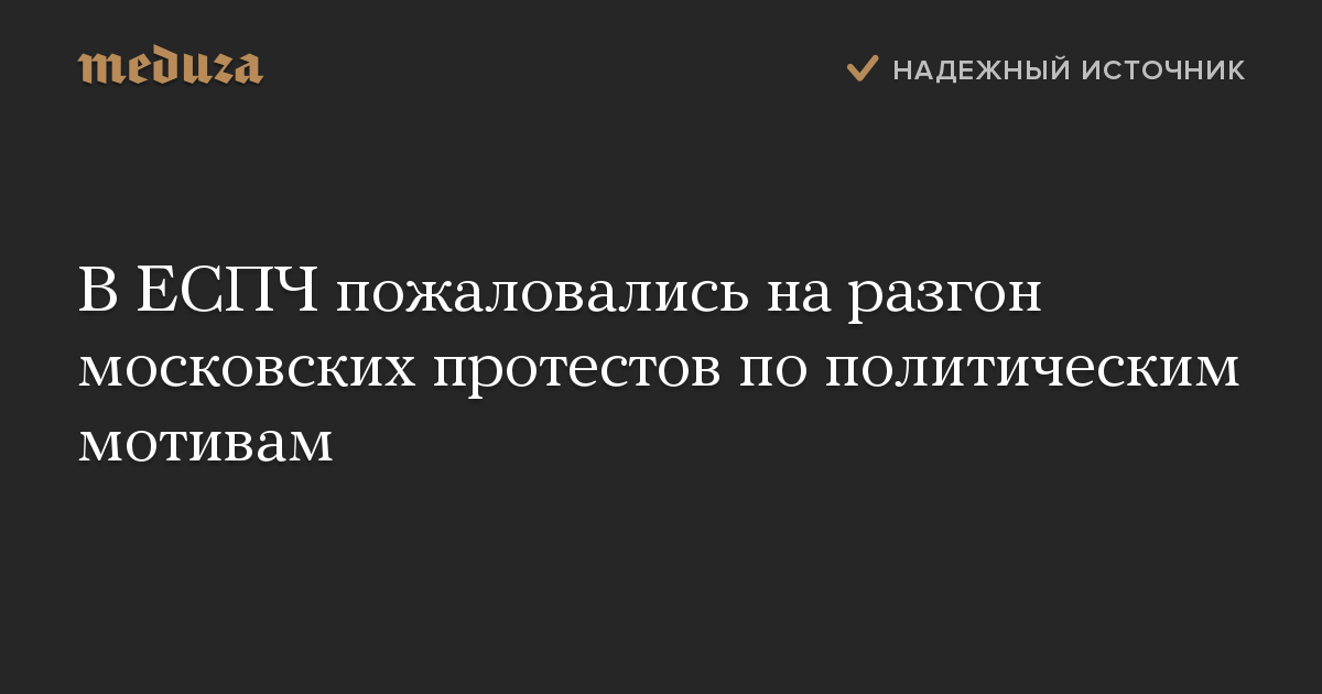 В ЕСПЧ пожаловались на разгон московских протестов по политическим мотивам