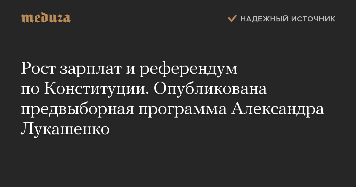 Рост зарплат и референдум по Конституции. Опубликована предвыборная программа Александра Лукашенко