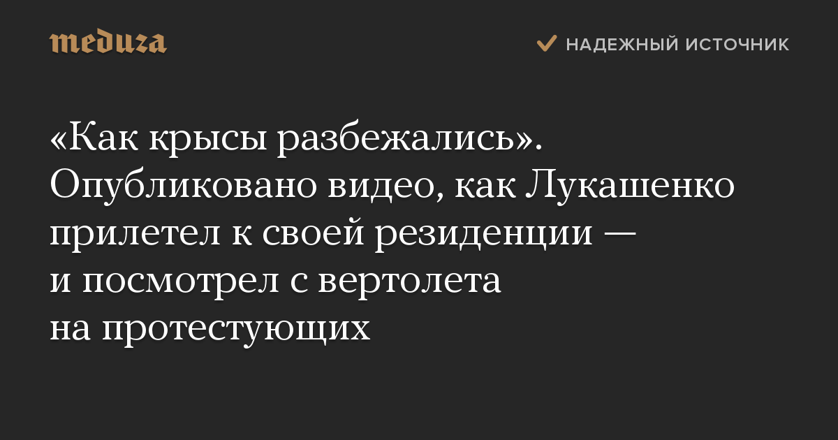 «Как крысы разбежались». Опубликовано видео, как Лукашенко прилетел к своей резиденции — и посмотрел с вертолета на протестующих