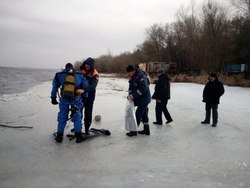 Из Волги достали тело утонувшего дайвера