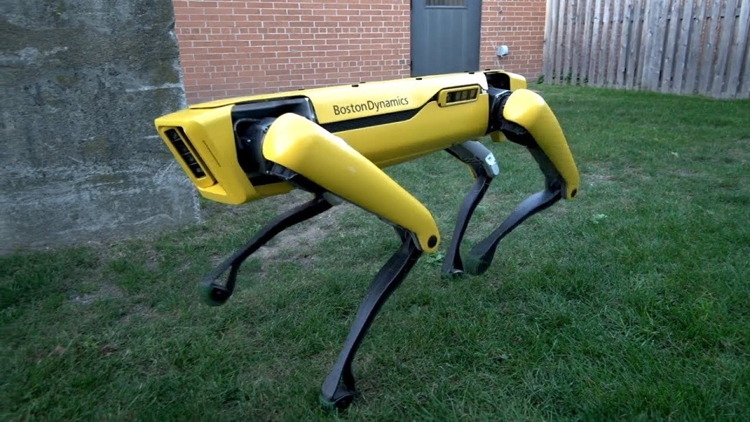 Boston Dynamics открыла робопса Spot для сторонних разработчиков