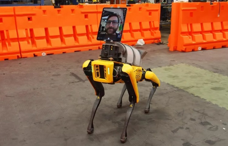 Робопёс Spot от Boston Dynamics помогает медикам в борьбе с коронавирусом