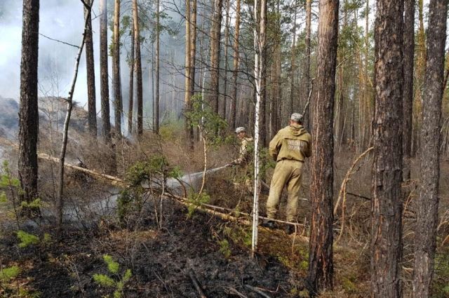 За сутки в России потушили 36 лесных пожаров