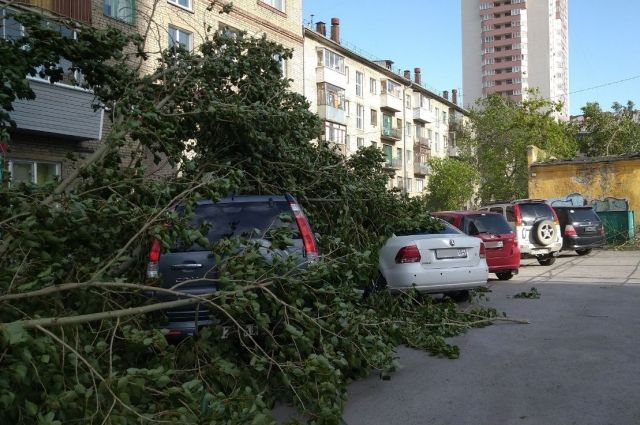 В Белгородской области ураган снес крыши трех домов