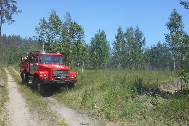 В Почепском районе выгорело полгектара леса