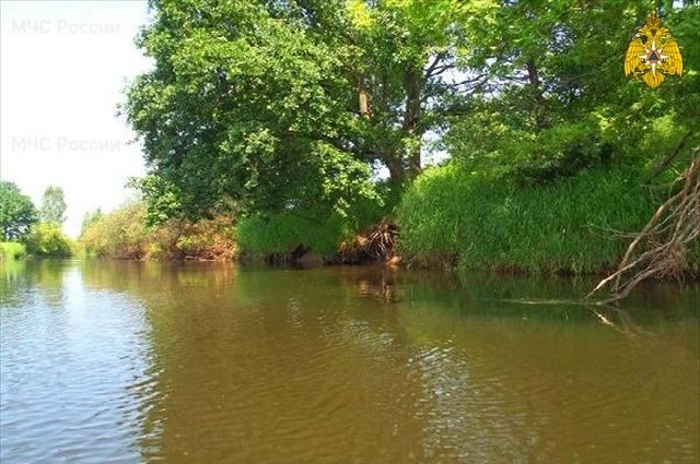 В Бежицком районе Брянска в Десне утонул мужчина