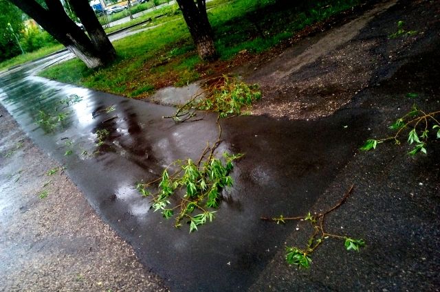 В Москве объявлен «желтый» уровень погодной опасности из-за ветра