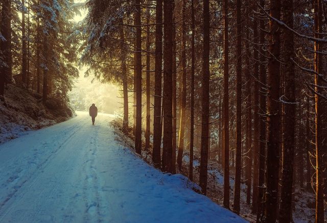 В Брянской области 17 февраля ожидается снег и до -18ºC холода