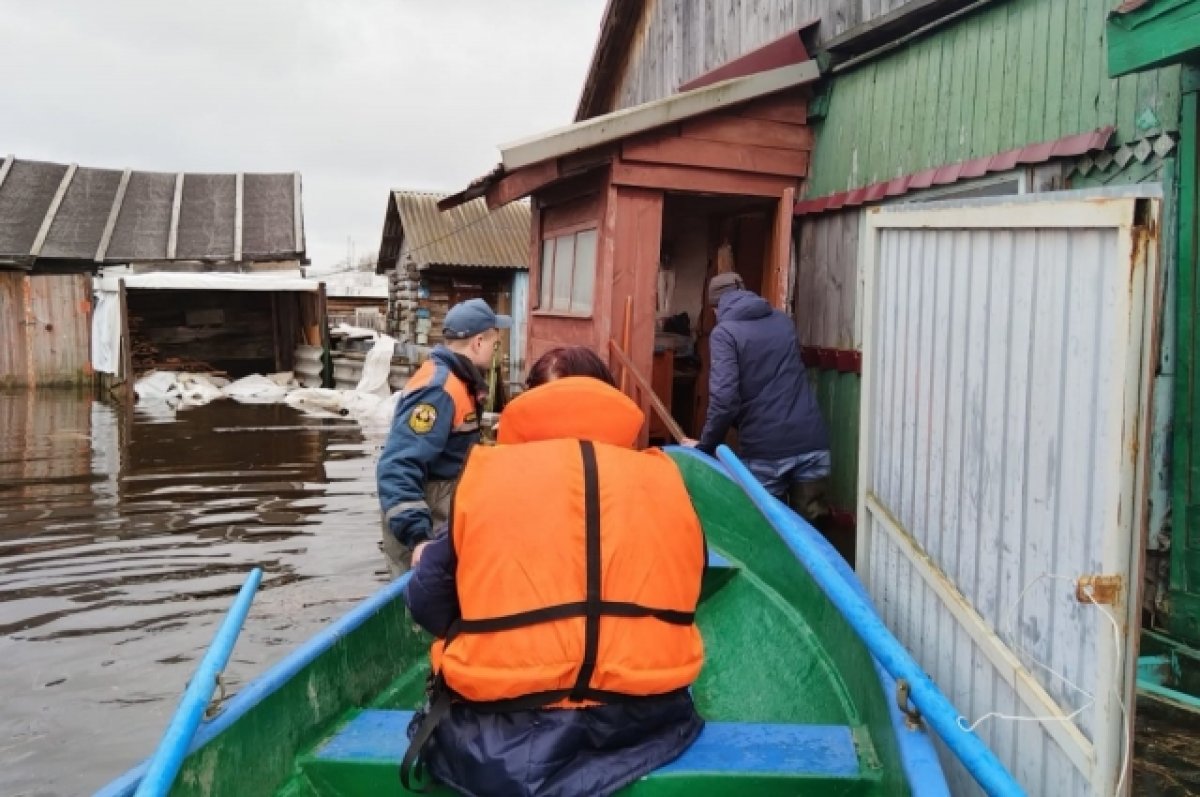 Уровень воды в Десне в Брянске достиг 551 сантиметра