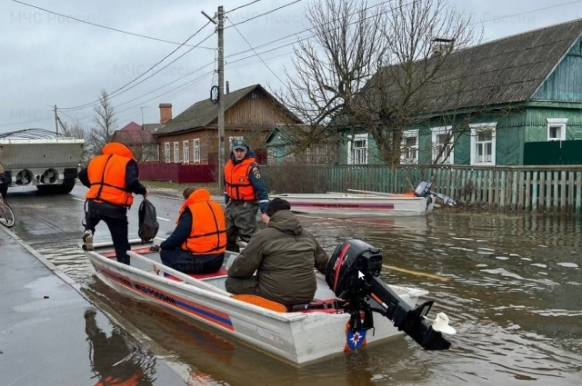 755 домовладений Брянщины попали в зону затопления