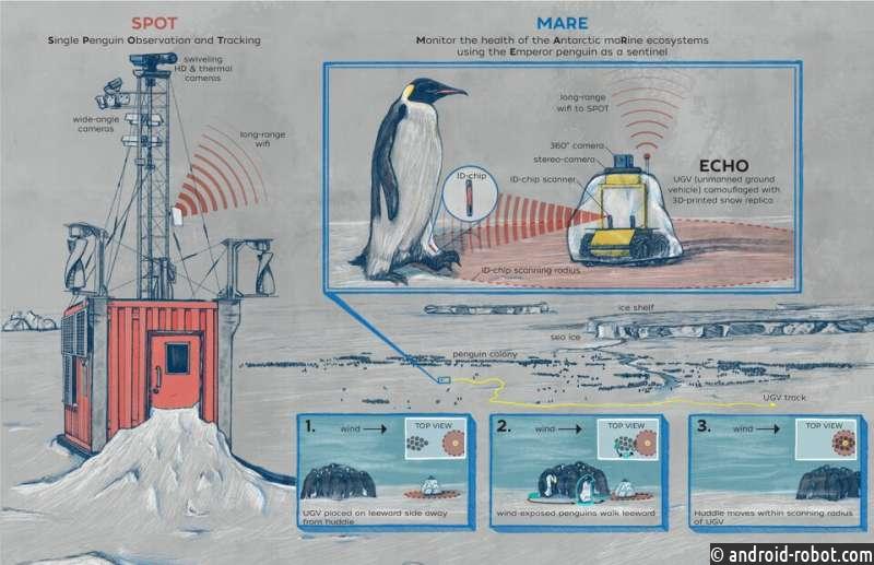 Робот в Антарктиде наблюдает за пингвинами