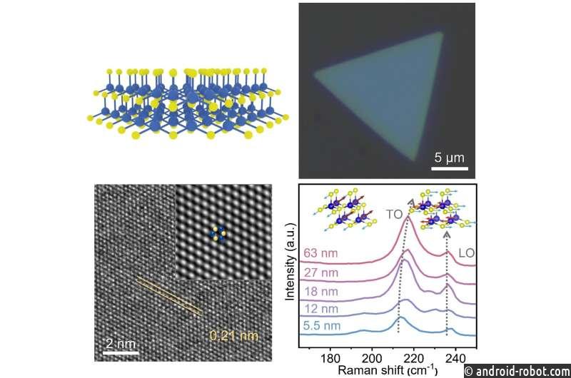 Управляемый синтез кристаллических чешуек прокладывает путь к передовой электронике будущего