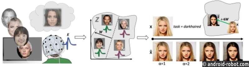 Используя электрические сигналы человеческого мозга, новое программное обеспечение может выполнять компьютерное редактирование изображений