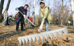 Выйти на три общегородских субботника предложили брянцам