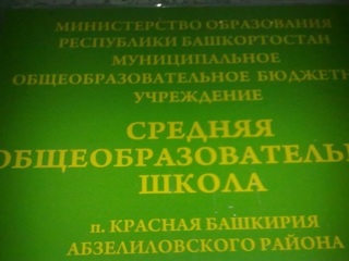 Бетонное перекрытие рухнуло в башкирской школе во время урока