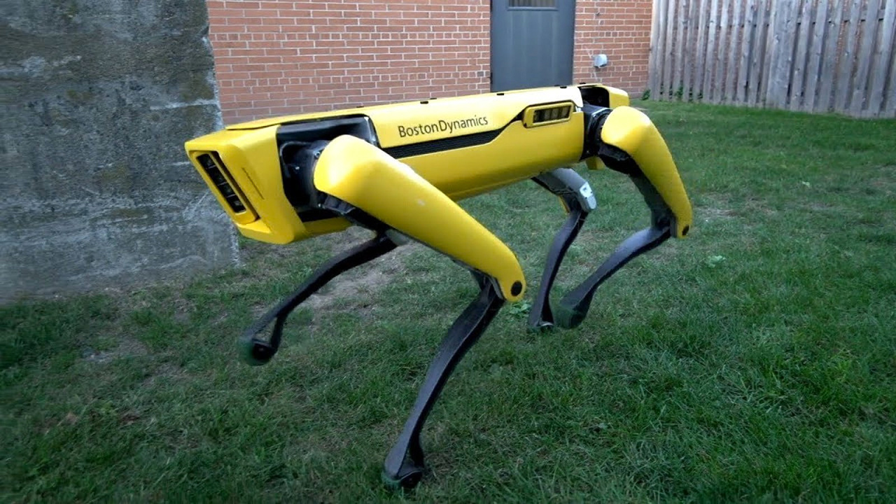 Разработчикам позволят дрессировать робопса Boston Dynamics