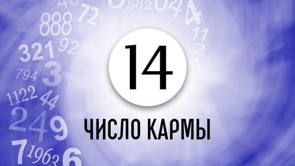 Как найти свой жизненный путь и избежать множества проблем людям с Числом кармы 14