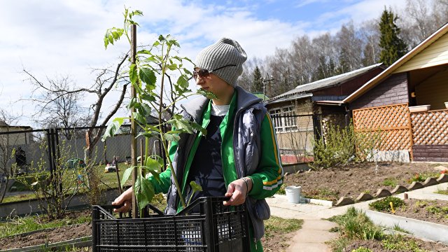 Yle (Финляндия): как владелица отеля, композитор, актер и сотрудница благотворительной организации переживают карантин в России и Украине