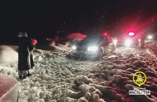 Полицейским пришлось погоняться за черной Audi на севере Петербурга