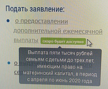 Сайт Пенсионного фонда обрушился из-за наплыва желающих получить дополнительные выплаты в связи с коронавирусом