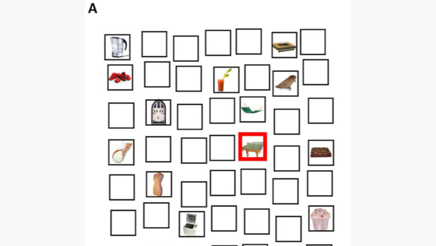 Ученые выяснили, что человек может запомнить расположение более 100 предметов