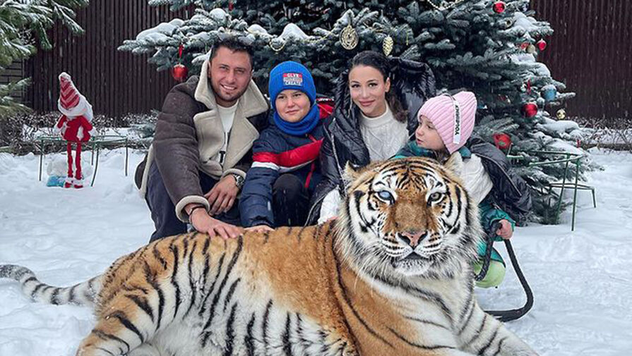 В сети Прилучного раскритиковали за фото с тигром