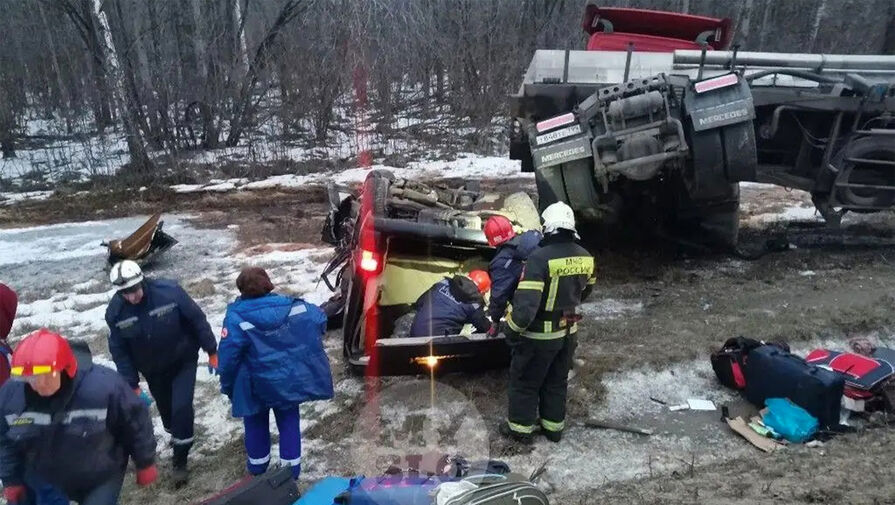 Девять человек погибли в результате ДТП с микроавтобусом и грузовиком в Тульской области