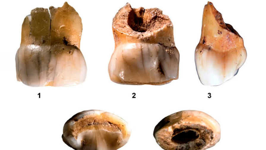 Археологи обнаружили молочные зубы юных неандертальцев