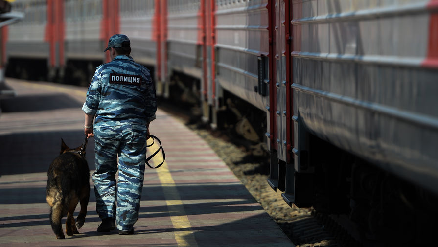 Поезд насмерть сбил 12-летнюю девочку в Орловской области