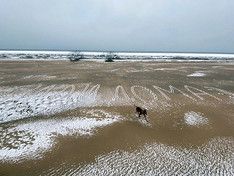 Антивирусные выходные: как защитить психику, снять клип и спасти мир от смертельного вируса, не выходя из дома