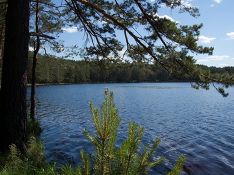 В Ленобласти Роспотребнадзор нашел 10 водоемов, где можно будет купаться, когда откроют пляжи