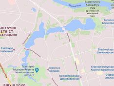 В столице спасли упавшего в пруд нарушителя карантина