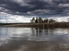 В Петербурге не нашлось водоемов, пригодных для купания