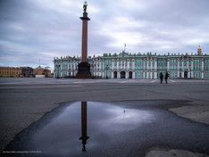 Из 8 тысяч выявленных случаев коронавируса за сутки 349 — в Северной столице, 44 — в Ленобласти