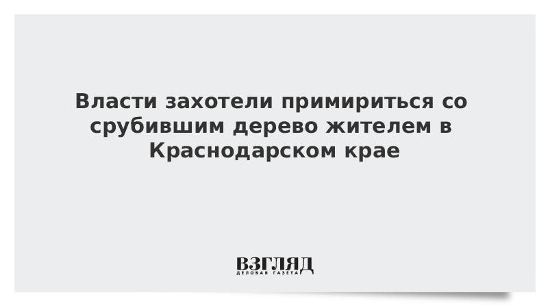 Власти захотели примириться со срубившим дерево жителем в Краснодарском крае